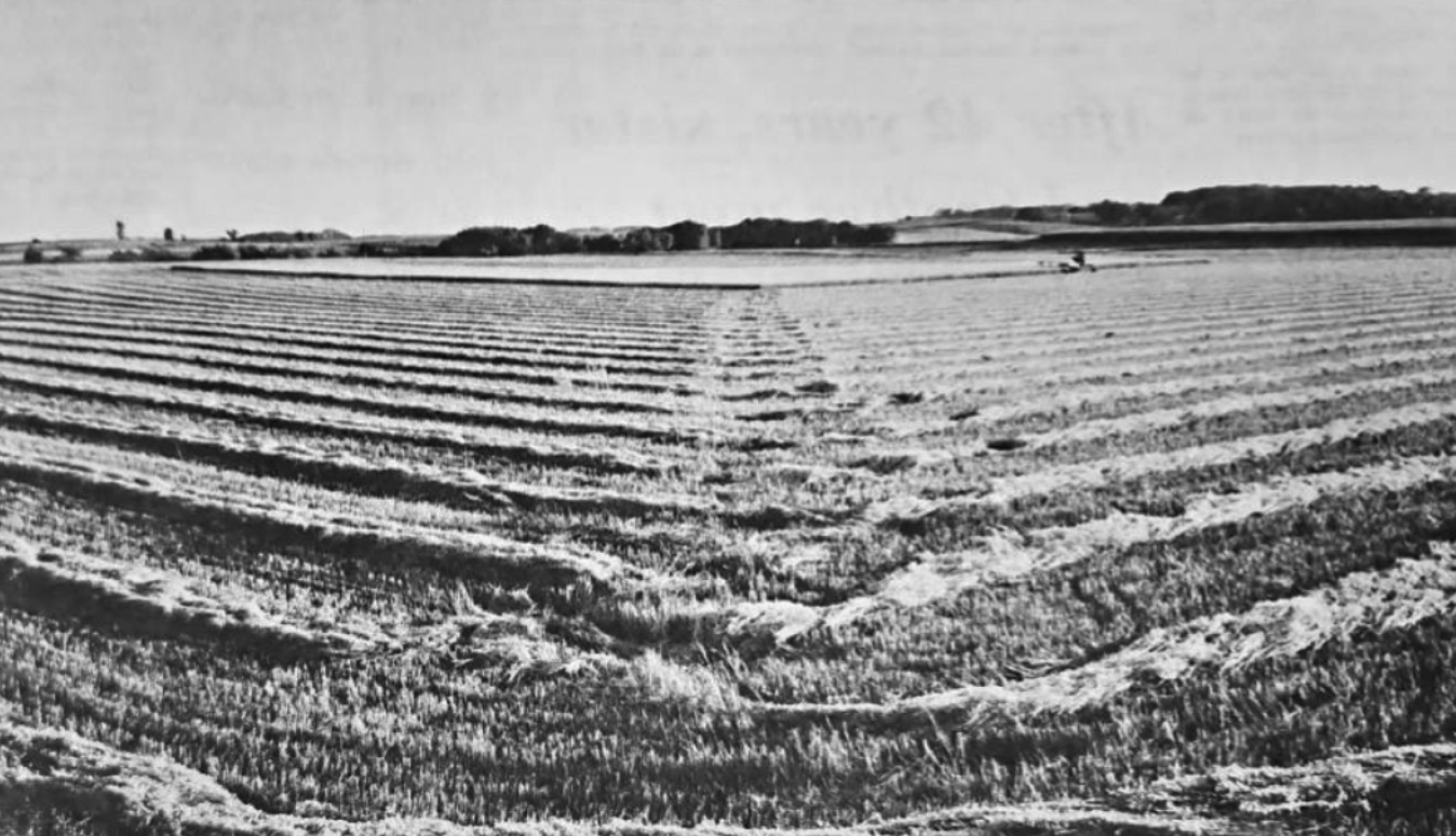 Farmers: need for rain is critical - The Journal